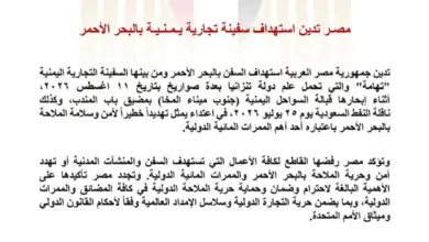 مصر تدين استهداف السفن التجارية بالبحر الأحمر وتحذر من تهديد الملاحة الدولية