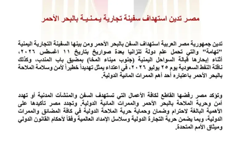 مصر تدين استهداف السفن التجارية بالبحر الأحمر وتحذر من تهديد الملاحة الدولية