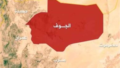 مصرع قيادي حوثي في الجوف