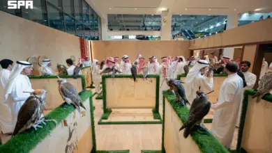 مع وصول 14 مزرعة جديدة.. توافد عالمي يعكس موثوقية المزاد الدولي لمزارع إنتاج الصقور