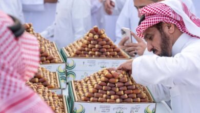 من المزرعة إلى السوق.. منظومة متكاملة لتسويق تمور القصيم