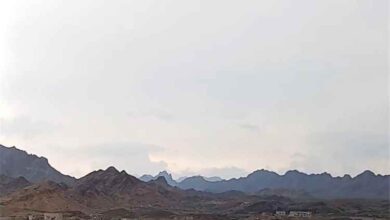 مناشدة عاجلة لإنقاذ قرية الحلحلية من أزمة المياه والتهميش