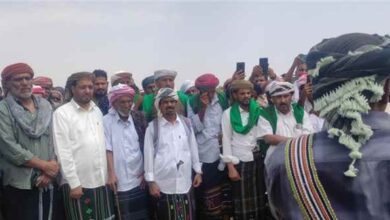 منطقة رأس حويرة بحضرموت تحتفي بزفاف 9 عرسان من «آل باسلوم»