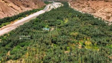 مهرجان خريف حجر السنوي يحقق تداولا تجاريا بـ235 مليون ريال ويستقطب نحو 41 ألف زائر في موسمه الثالث