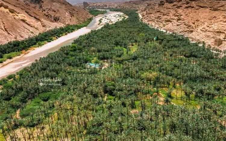 مهرجان خريف حجر السنوي يحقق تداولا تجاريا بـ235 مليون ريال ويستقطب نحو 41 ألف زائر في موسمه الثالث