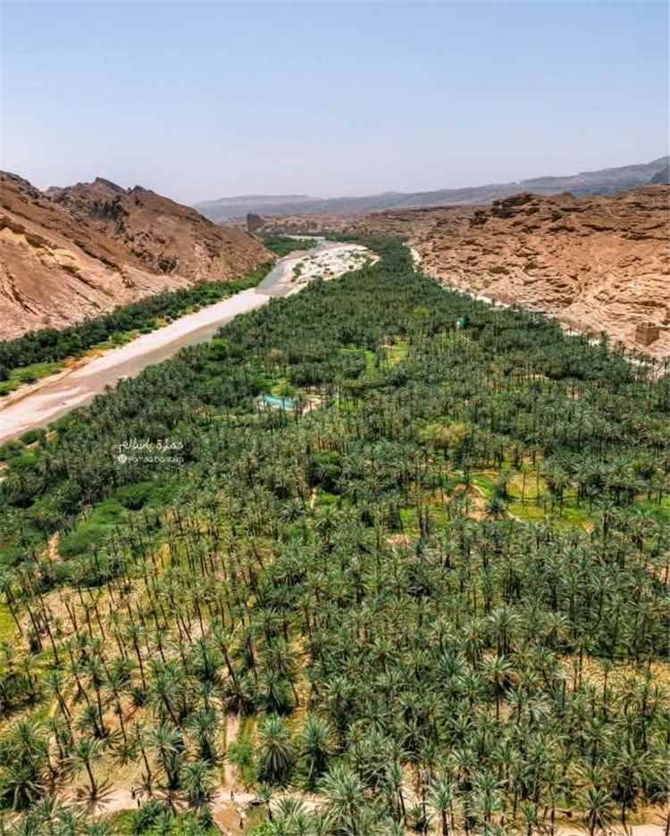 مهرجان خريف حجر السنوي يحقق تداولا تجاريا بـ235 مليون ريال ويستقطب نحو 41 ألف زائر في موسمه الثالث