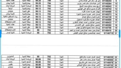 ميفعة تتصدر مديريات شبوة بـ18 مقعدًا ضمن أوائل المحافظة في الثانوية العامة