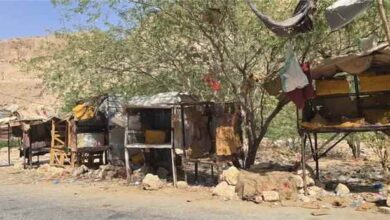 ناشط ينتقد منع بيع القات في الخريبة والرباط والسماح البيع في منطقة القويرة بدوعن