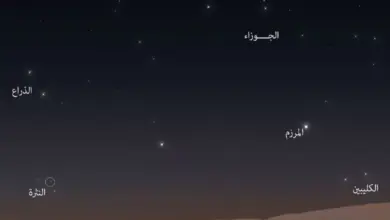 نجم الكليبين يُطلّ خلال يومين ويُعيد الجدل حول «مرخيات القلايد»