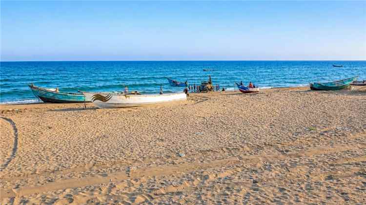 هيئة المصائد السمكية بأحور تكشف جملة من العراقيل وتطالب باستعادة ساحة الحراج وإنقاذ القطاع السمكي