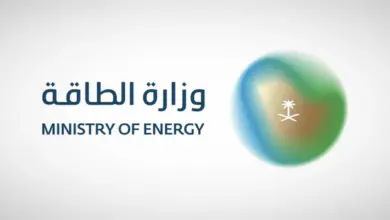 وزارة الطاقة ترصد 964 مخالفة بترولية خلال 9263 زيارة رقابية في يوليو