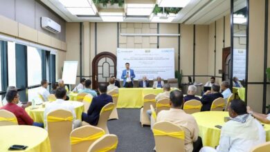 وزارة الكهرباء تقيم ورشة فنية لتقييم الشبكات الكهربائية المصغرة في المناطق الريفية المستهدفة