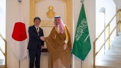 وزير الخارجية: يجب إبقاء مضيق هرمز وباب المندب وجميع الممرات البحرية مفتوحة وآمنة