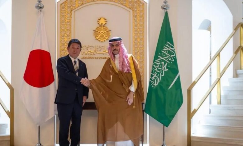 وزير الخارجية: يجب إبقاء مضيق هرمز وباب المندب وجميع الممرات البحرية مفتوحة وآمنة