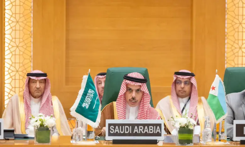 وزير الخارجية يطالب بإصلاح منظمة التعاون الإسلامي ويدين مشروع الاستيطان الإسرائيلي E1