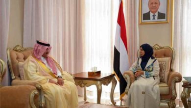 وزيرة الخارجية تبحث مع السفير السعودي مستجدات الأوضاع وتعزيز الشراكة بين البلدين