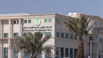 103 فرص استثمارية بأكثر من 500 مليون ريال.. «الغطاء النباتي» يعزز الاستدامة في المملكة