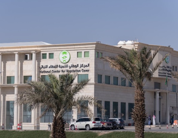 103 فرص استثمارية بأكثر من 500 مليون ريال.. «الغطاء النباتي» يعزز الاستدامة في المملكة