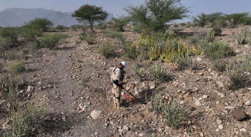 “مسام” ينزع 3887 لغماً وذخيرة وعبوة ناسفة خلال 18 يوماً وتطهير 5.6 مليون متر مربع