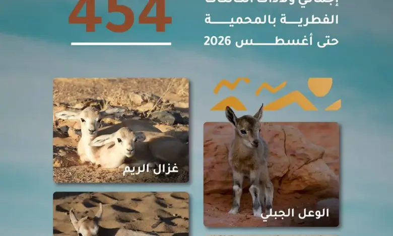 454 ولادة فطرية في محمية الملك سلمان تُعزز مسيرة التنوع البيولوجي