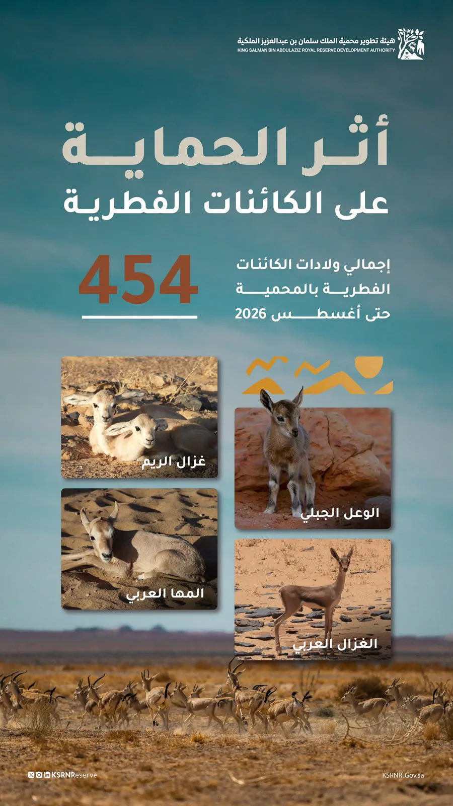 454 ولادة فطرية في محمية الملك سلمان تُعزز مسيرة التنوع البيولوجي