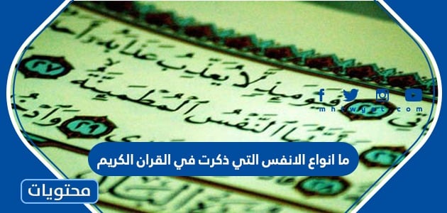ما انواع الانفس التي ذكرت في القران الكريم