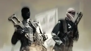 أمام وكالة الطاقة الذرية | الحكومة اليمنية تحذر من تنامي التعاون بين الحوثي وحركة الشباب الصومالية