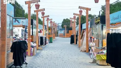 صورة من الألبوم