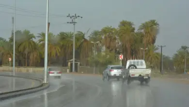 أمطار خفيفة ورياح نشطة على منطقة نجران اليوم