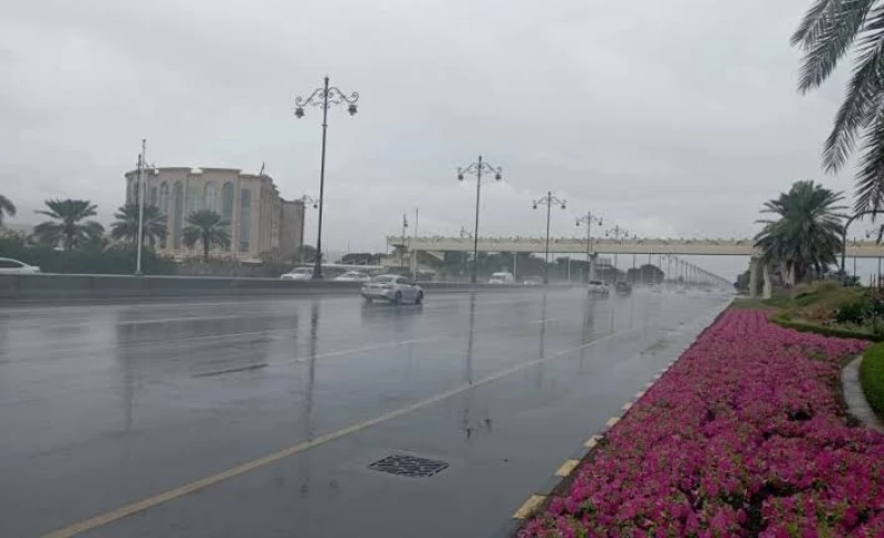 أمطار غزيرة وسيول متوقعة على عدة مناطق