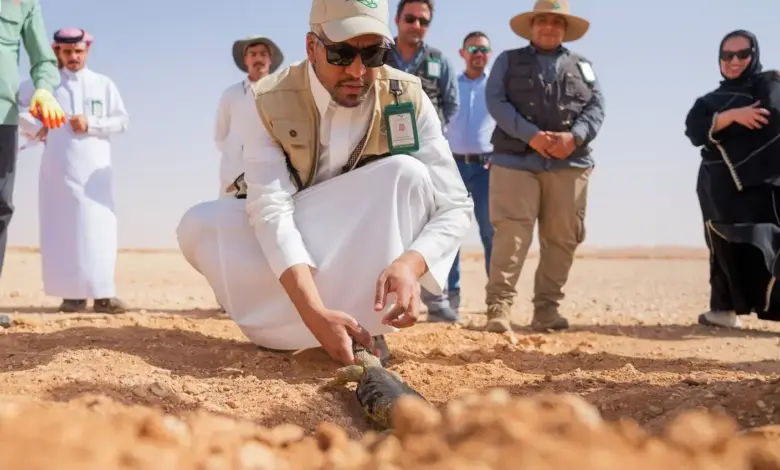 إطلاق أكثر من 140 ضبًا في محمية الإمام عبدالعزيز بن محمد