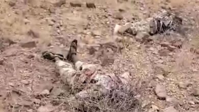إعلاميون وناشطون يطلقون حملة #قربت_نهايتك_ياحوثي تأكيدًا على قرب طي صفحة المشروع الحوثي