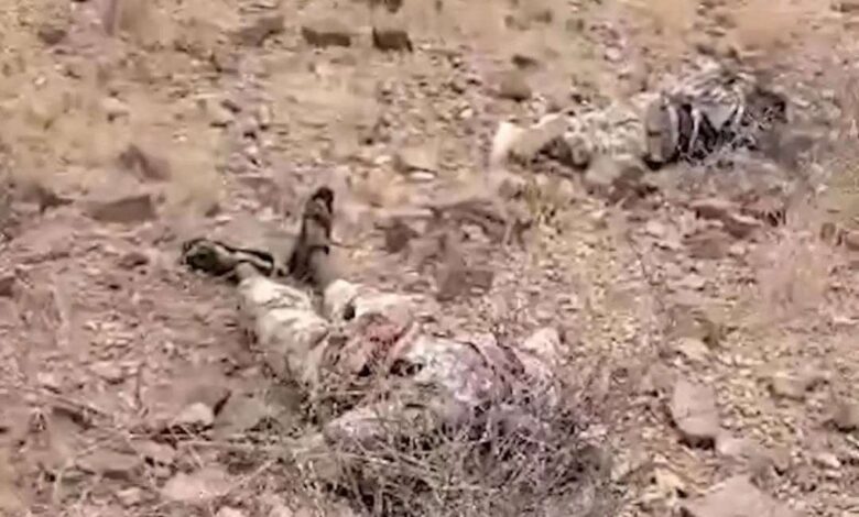 إعلاميون وناشطون يطلقون حملة #قربت_نهايتك_ياحوثي تأكيدًا على قرب طي صفحة المشروع الحوثي