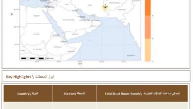 إيران تسجل 6 ساعات من الحالات الغبارية في الإقليم خلال 19 سبتمبر