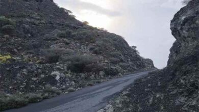 اشتباكات عنيفة في جبهة المنصورة بالبوكرة عقب محاولة حوثية للهجوم على مواقع المقاتلين