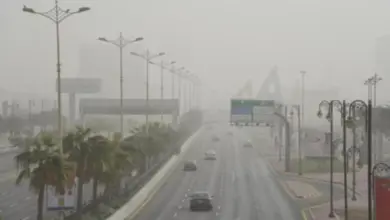 الأرصاد: ضباب خفيف على مدن ومحافظات الشرقية