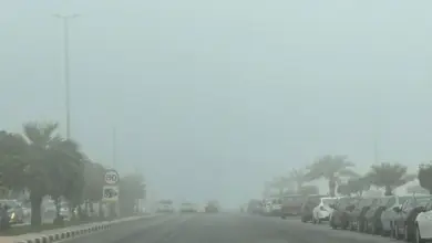 «الأرصاد» ينبه من ضباب ورياح نشطة على الشرقية