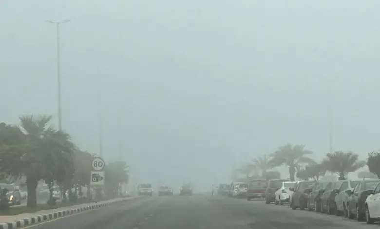 «الأرصاد» ينبه من ضباب ورياح نشطة على الشرقية