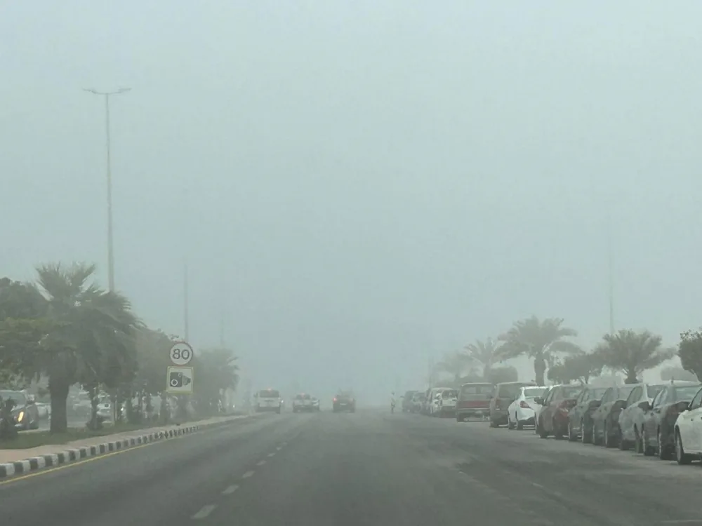 «الأرصاد» ينبه من ضباب ورياح نشطة على الشرقية
