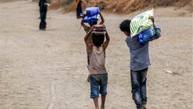 الأمم المتحدة: تمويل خطة الاستجابة الإنسانية في اليمن لا يتجاوز 20.3% بعد أكثر من 8 أشهر