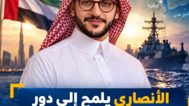 الأنصاري يلمح إلى دور «دولة الامارات» في تطورات البحر الأحمر.