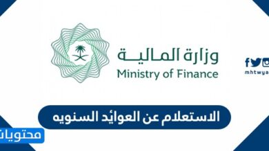 الاستعلام عن العوائد السنويه بالسجل المدني بالخطوات الصحيحة