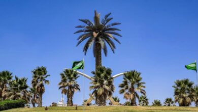 الباحة في اليوم الوطني السعودي.. طبيعة متنوعة وموروث يحكي تاريخ المكان