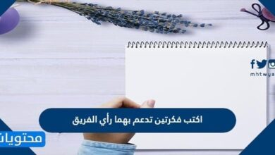 التعقل والتثبت في الامور وترك الغضب