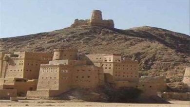الجوف تواجه تفشياً متزايداً لحمى الضنك وسط ضعف الاستجابة الصحية