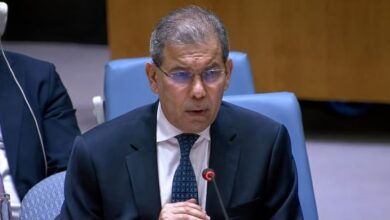الحكومة اليمنية: نتعامل مع التطورات الأخيرة في الساحل الغربي وباب المندب بكل مسؤولية وحزم