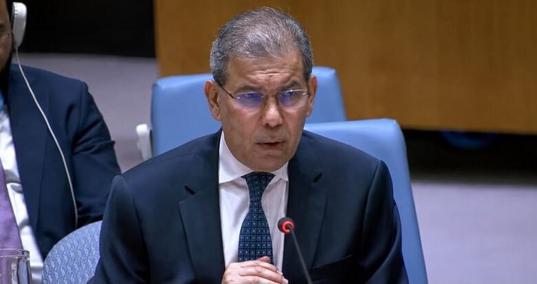 الحكومة اليمنية: نتعامل مع التطورات الأخيرة في الساحل الغربي وباب المندب بكل مسؤولية وحزم