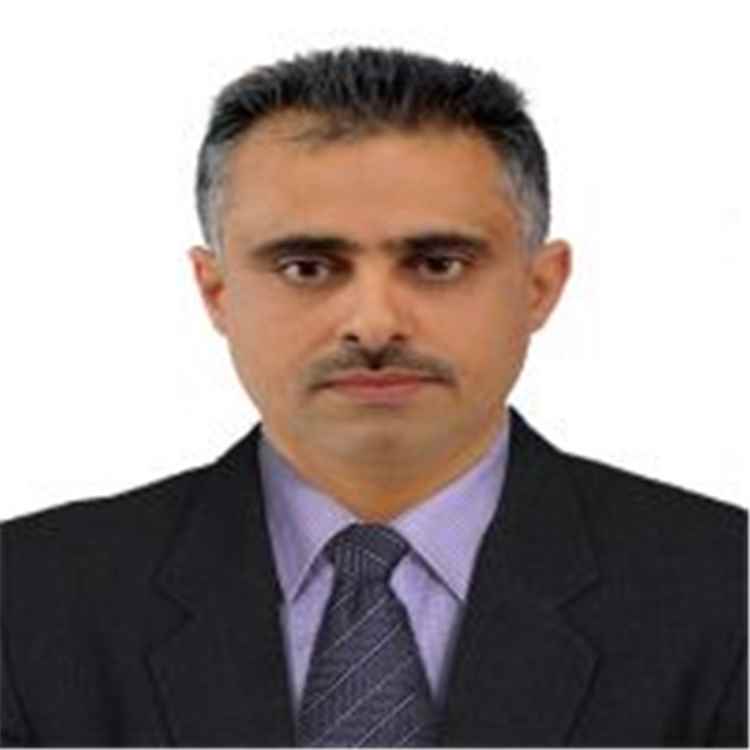 الدميني: هل يعني تشكيل المقاومة التهامية إسدال الستار على قوات المقاومة الوطنية في الساحل الغربي؟