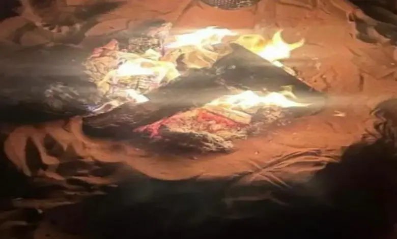 **الرئيسي:** الأمن البيئي يضبط 3 مخالفين للحطب وإشعال النار والصيد في 3 مناطق