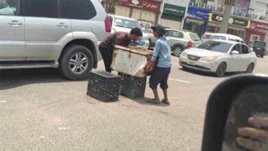 السلطة المحلية تحذّر من استغلال المطبات والجزر الوسطية لبيع المياه ورمي القمامة وتعريض الباعه الأطفال للخطر وارباك الطريق